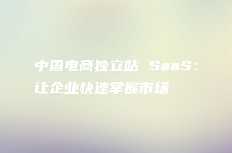 中国电商独立站 SaaS：让企业快速掌握市场