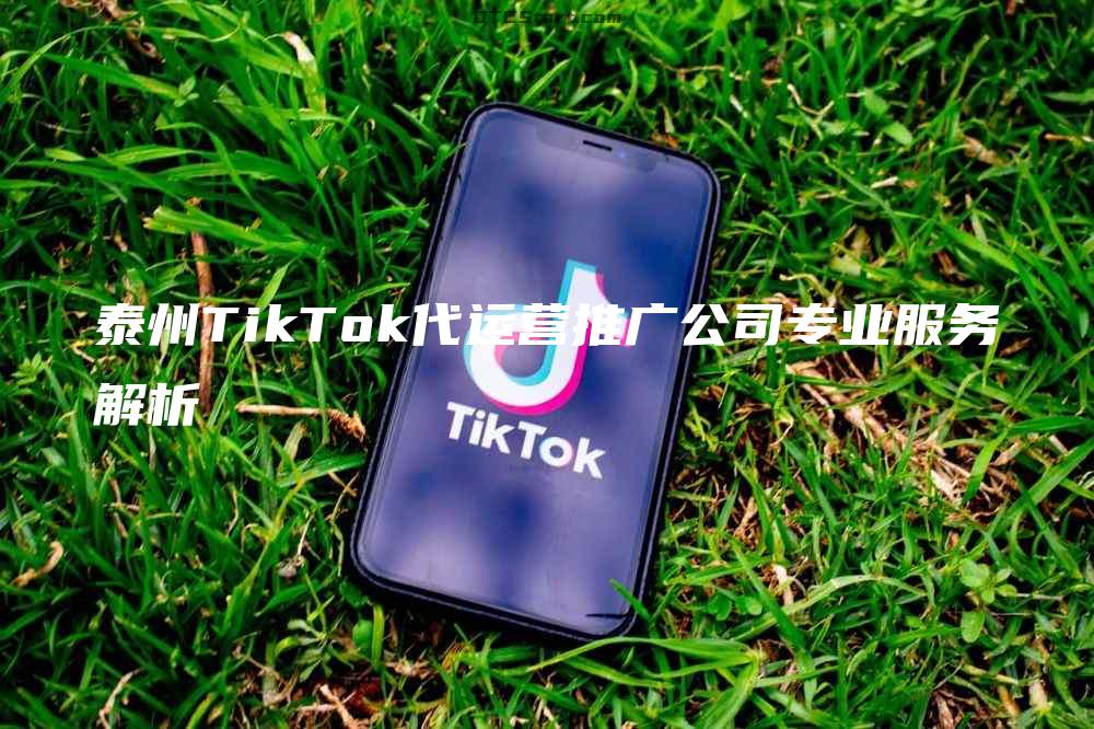 泰州TikTok代运营推广公司专业服务解析