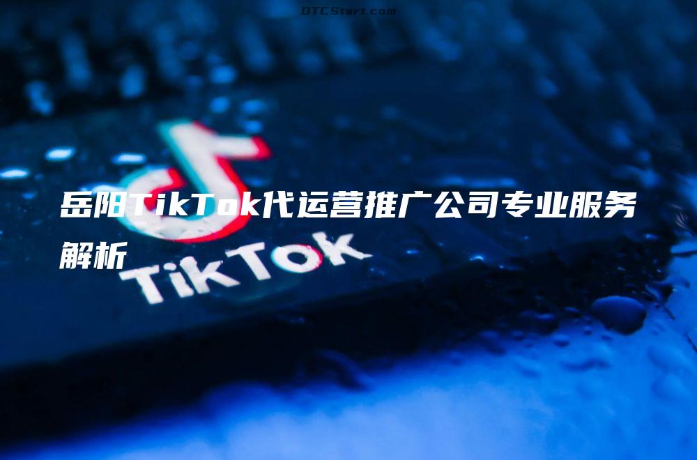 岳阳TikTok代运营推广公司专业服务解析