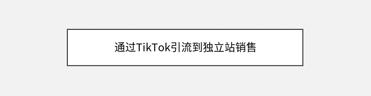 通过TikTok引流到独立站销售