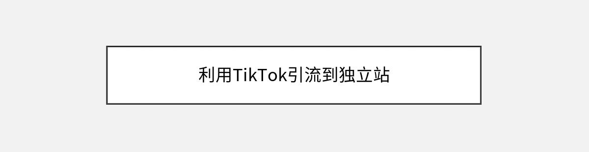 利用TikTok引流到独立站