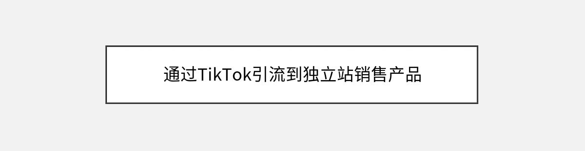 通过TikTok引流到独立站销售产品