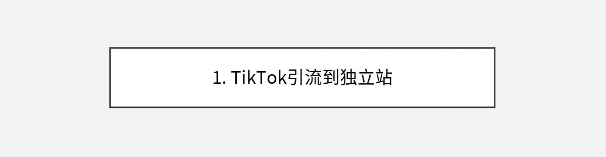 1. TikTok引流到独立站